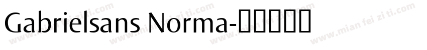 Gabrielsans Norma字体转换